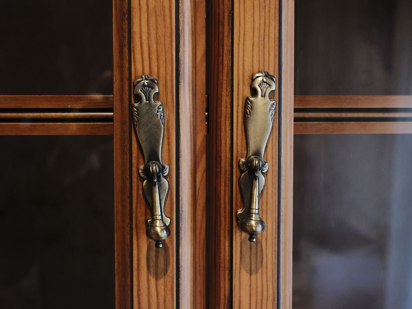 Two brass pulls on dark wooden cabinet doors